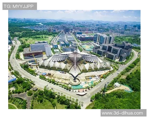 深圳篮球队区域防守革新之路探索与实践分析