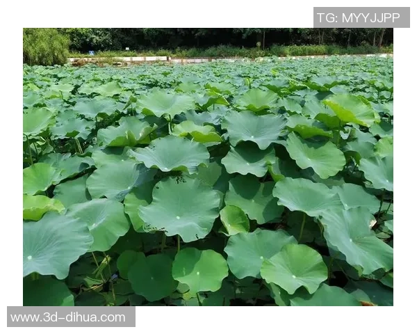 舞动人生的节奏：吴静与街舞的深度对话与心路历程